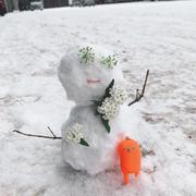 agnescui的个人资料头像