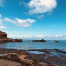 Yin同志82208的个人资料头像