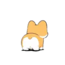 华兄的个人资料头像