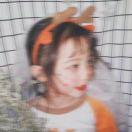 影子猫的个人资料头像