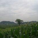 明书的个人资料头像