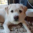 阿p同学的个人资料头像