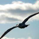 时间本尊的个人资料头像