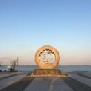 阿鸽的个人资料头像