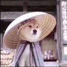 沉沦2014的个人资料头像