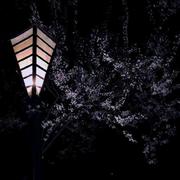 楼谨逍的个人资料头像