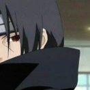 君82491的个人资料头像