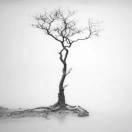 等你许久的个人资料头像