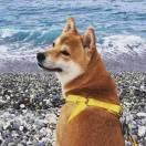 希望的个人资料头像