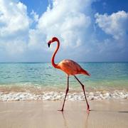 zyw1988的个人资料头像