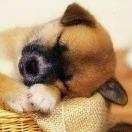 Prajna同志的个人资料头像