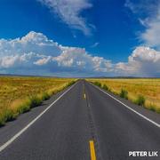 yangchangkui的个人资料头像