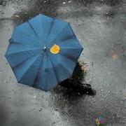 wmgwugang的个人资料头像