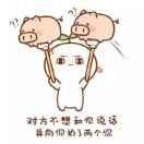 啊桔梗的个人资料头像