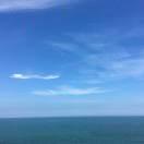 李志鹏在掘金82659的个人资料头像