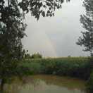 紫魅邪情的个人资料头像