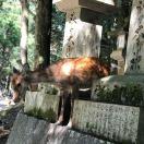 jemmy82794的个人资料头像