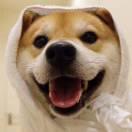 怪兽想吃素的个人资料头像