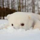 静静本尊82814的个人资料头像