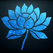 Daixujie的个人资料头像