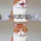 东峰破的个人资料头像