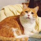 左岸花不开的个人资料头像