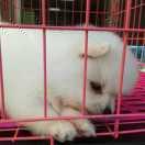 我就看看就是我的个人资料头像