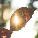 听风的故事的个人资料头像