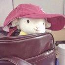 爱我会发光的个人资料头像