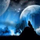 seven昔年的个人资料头像