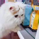 二楠的个人资料头像