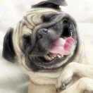 H在掘金83059的个人资料头像