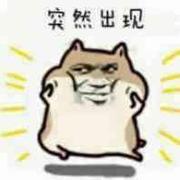 dongshen0220的个人资料头像