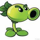 本尊的个人资料头像