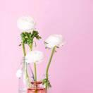 团长君的个人资料头像