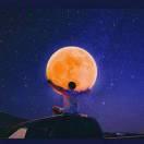 SedateC的个人资料头像