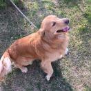 也许有那么一天的个人资料头像