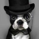 初五同学的个人资料头像