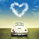 風不想说话83180的个人资料头像