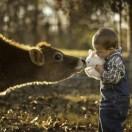 湾丸晚万w的个人资料头像