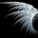 尜尜的个人资料头像