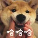 郭一凡的个人资料头像