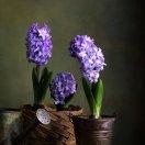 信不想说话的个人资料头像