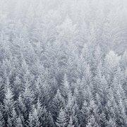 0208Psyber的个人资料头像