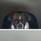 mm在掘金83273的个人资料头像