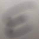 Nimbrethil的个人资料头像