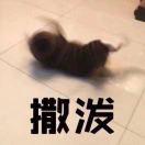 明君83340的个人资料头像