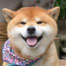 Snow重名了83388的个人资料头像