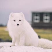 lingmacker的个人资料头像