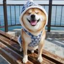 孟超的个人资料头像